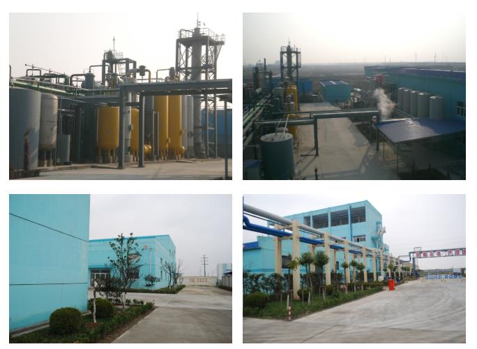 Establishment of Lianyungang production base and sales company